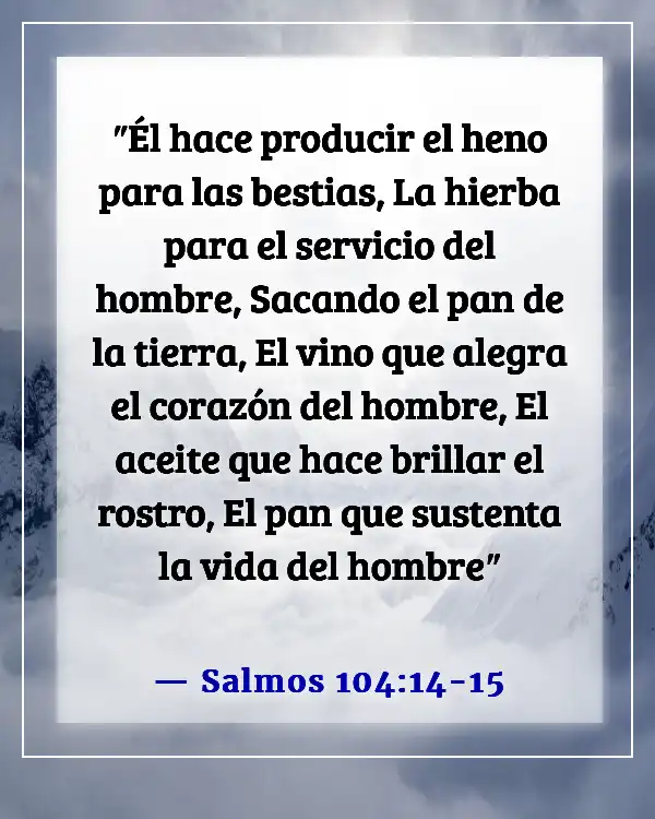 Versículo de la Biblia sobre bendiciones alimenticias (Salmos 104:14-15)