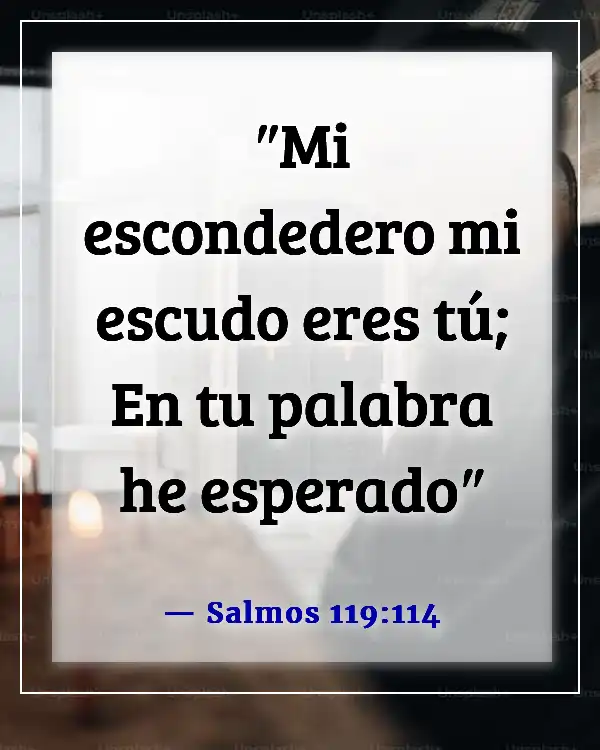 Versículos de la Biblia sobre el silencio y la soledad (Salmos 119:114)