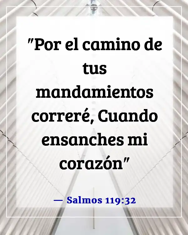 Versículo de la Biblia sobre correr la carrera con perseverancia (Salmos 119:32)