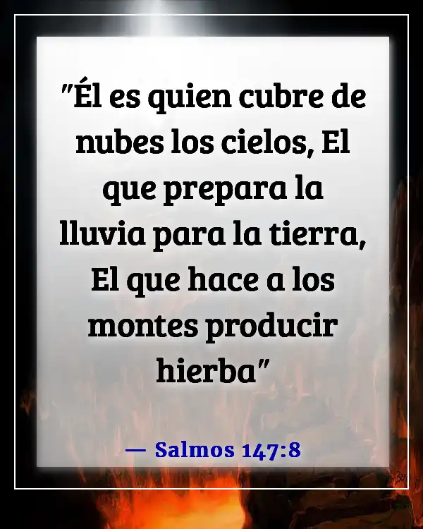 Versículo de la Biblia sobre predecir el clima (Salmos 147:8)