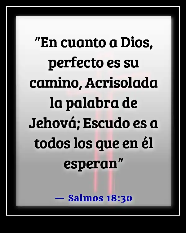 Versículos de la Biblia sobre el deseo de Dios de nuestro bien (Salmos 18:30)