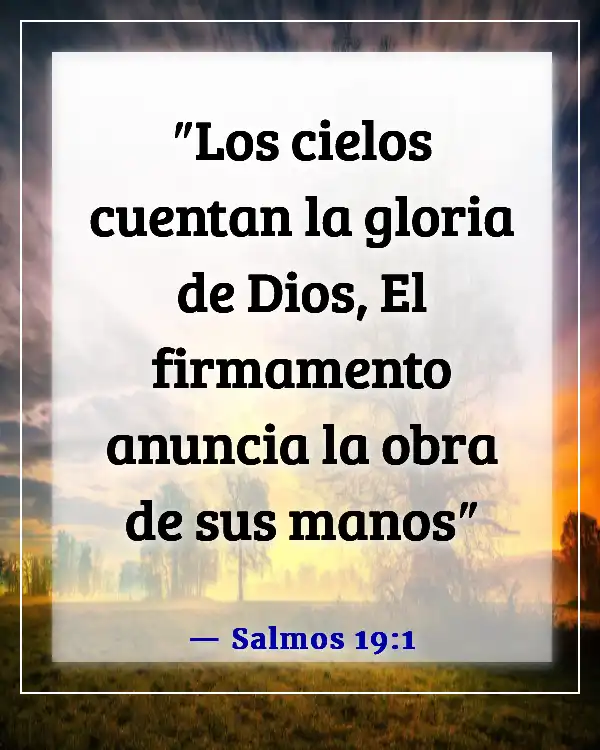 Versículos de la Biblia sobre la belleza de la naturaleza (Salmos 19:1)