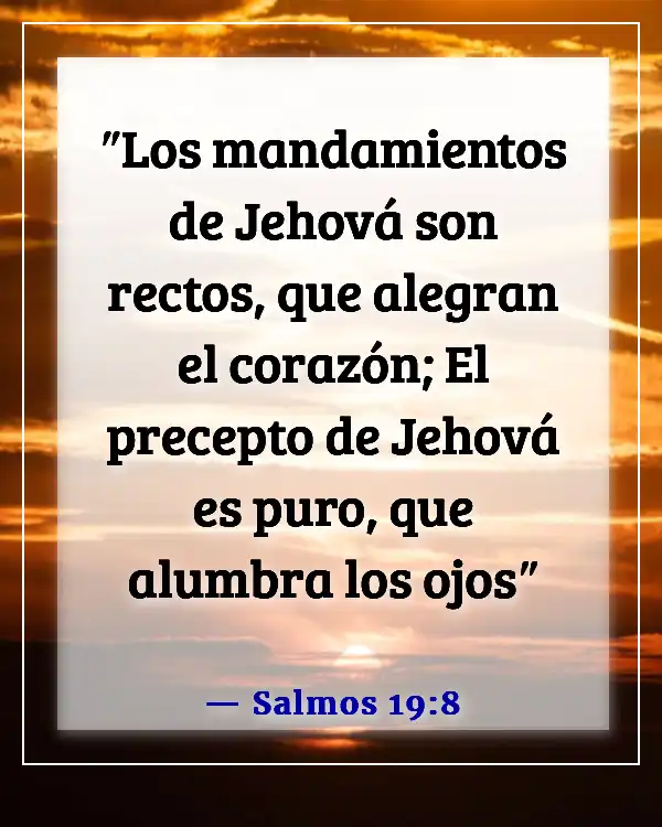 Versículos de la Biblia sobre que Dios quiere que seamos felices (Salmos 19:8)