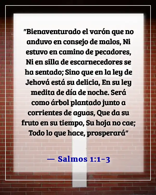 Versículos de la Biblia sobre elegir y caminar por el camino correcto (Salmos 1:1-3)