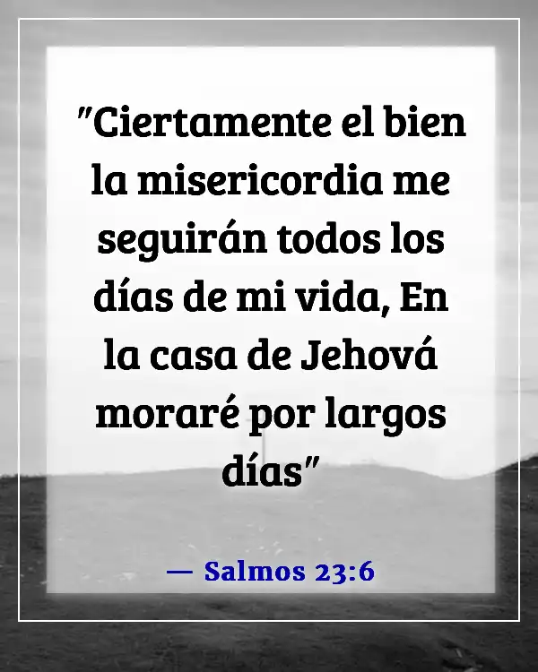 Versículos de la Biblia sobre mirar hacia el futuro (Salmos 23:6)