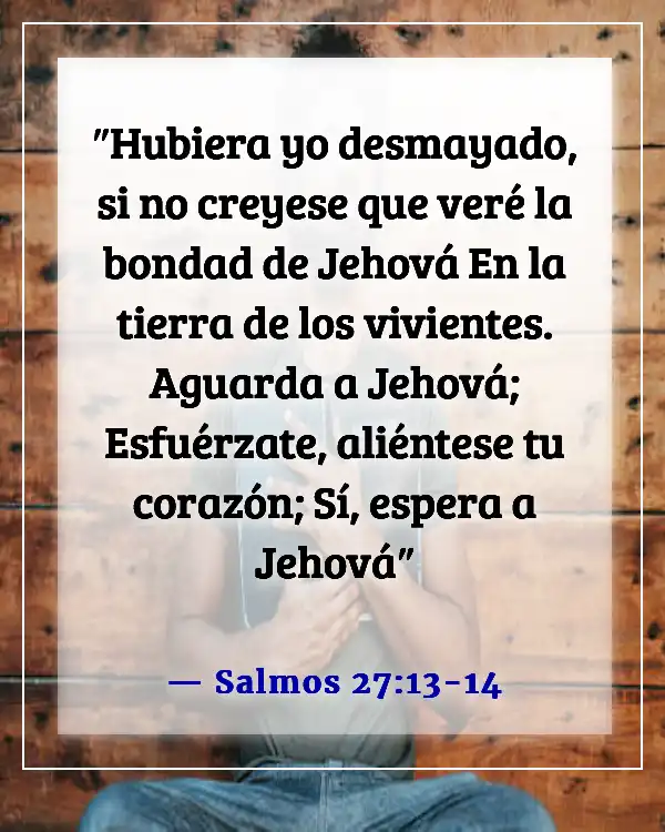 Versículos de la Biblia sobre por qué Dios permite que sucedan cosas malas (Salmos 27:13-14)