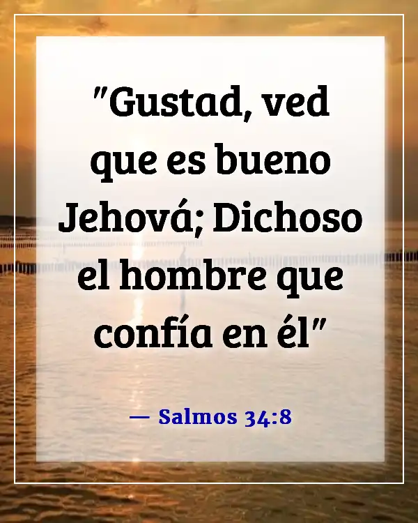 Versículo de la Biblia: Alimento para el alma (Salmos 34:8)