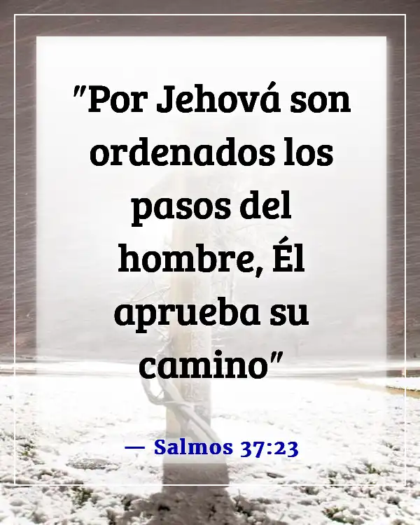 Versículos bíblicos sobre la victoria sobre las pruebas (Salmos 37:23)