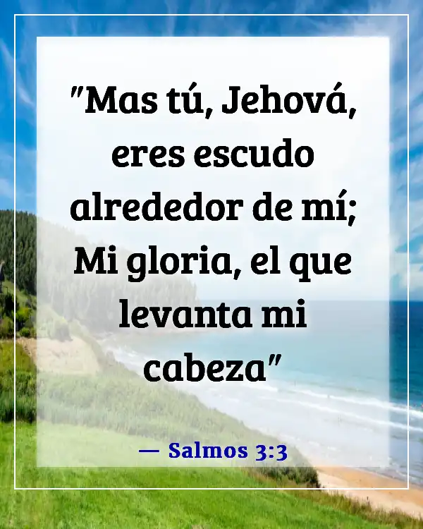 Versículos de la Biblia sobre ponerse la armadura completa de Dios (Salmos 3:3)