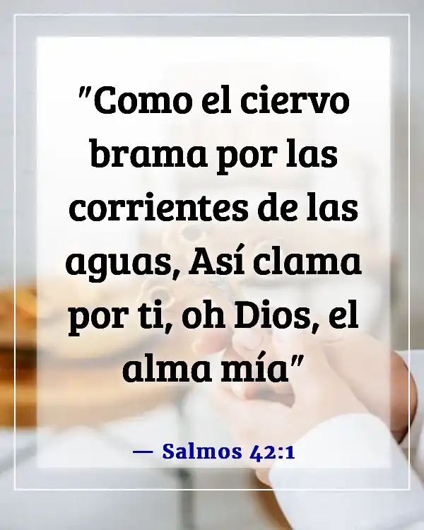 Versículos de la Biblia para sentirte más cerca de Dios (Salmos 42:1)