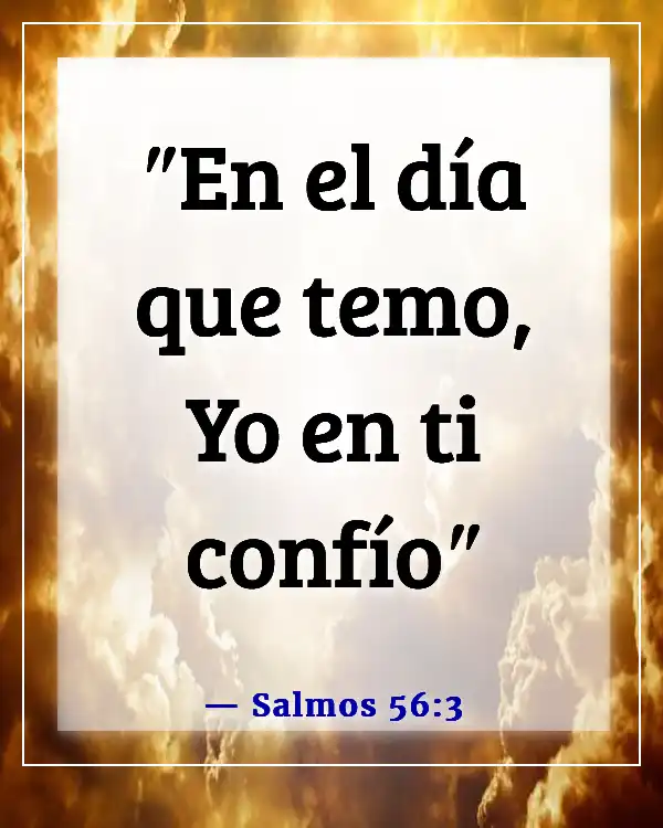 Versículos de la Biblia sobre mantener la calma en la tormenta y confiar en Dios (Salmos 56:3)