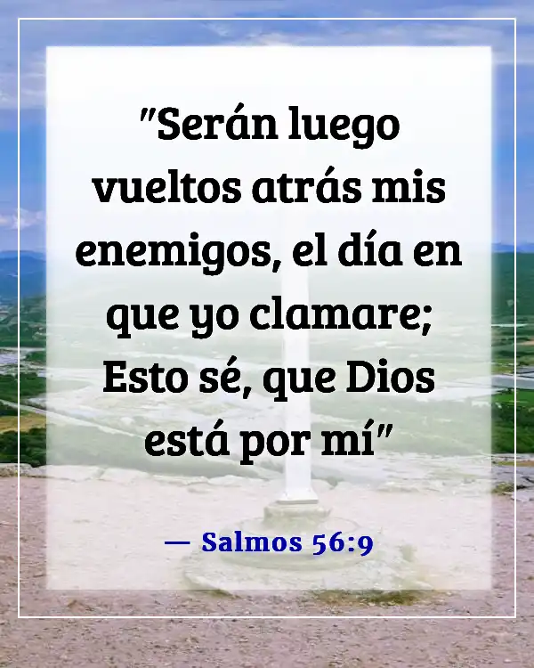 Versículos de la Biblia sobre Dios destruyendo a tus enemigos (Salmos 56:9)