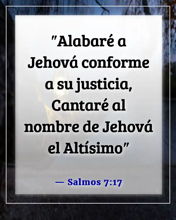 Versículos de la Biblia sobre ser dado por sentado (Salmos 7:17)