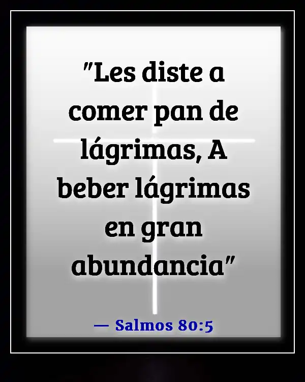 Versículo de la Biblia sobre Dios recogiendo nuestras lágrimas (Salmos 80:5)