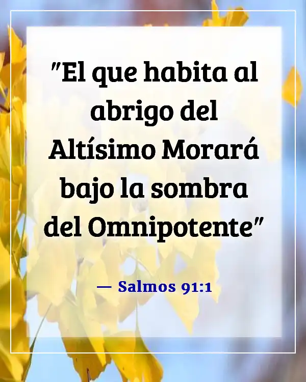 Versículos de la Biblia sobre Dios sosteniéndonos en Sus brazos (Salmos 91:1)