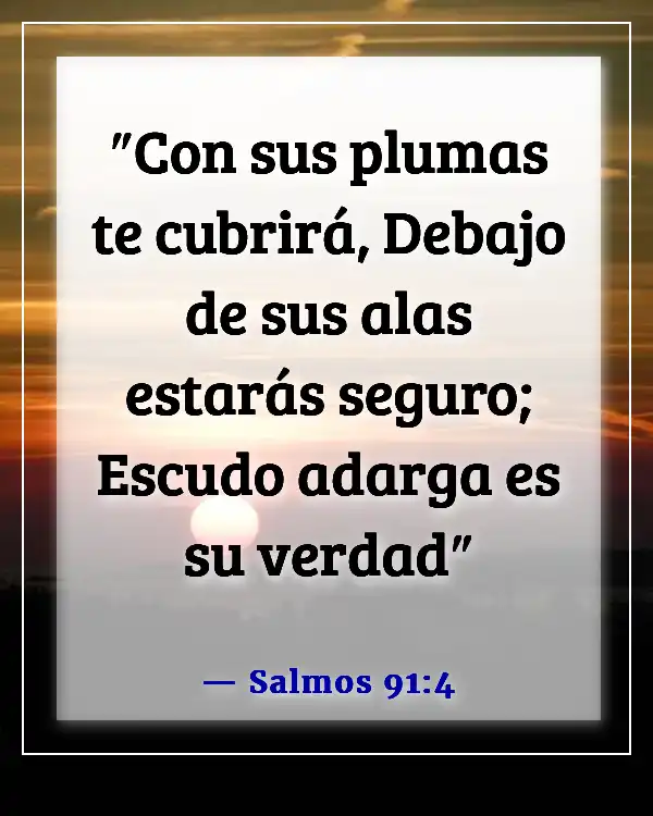 Versículos de la Biblia sobre ponerse la armadura completa de Dios (Salmos 91:4)