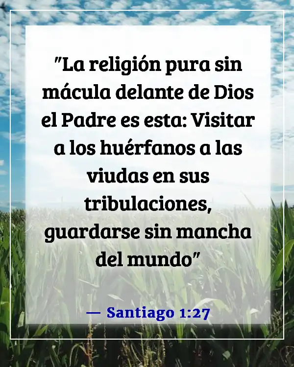 Versículo de la Biblia para alimentar a los hambrientos (Santiago 1:27)