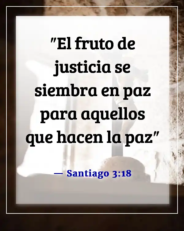 Versículos de la Biblia sobre Bienaventurados los pacificadores (Santiago 3:18)