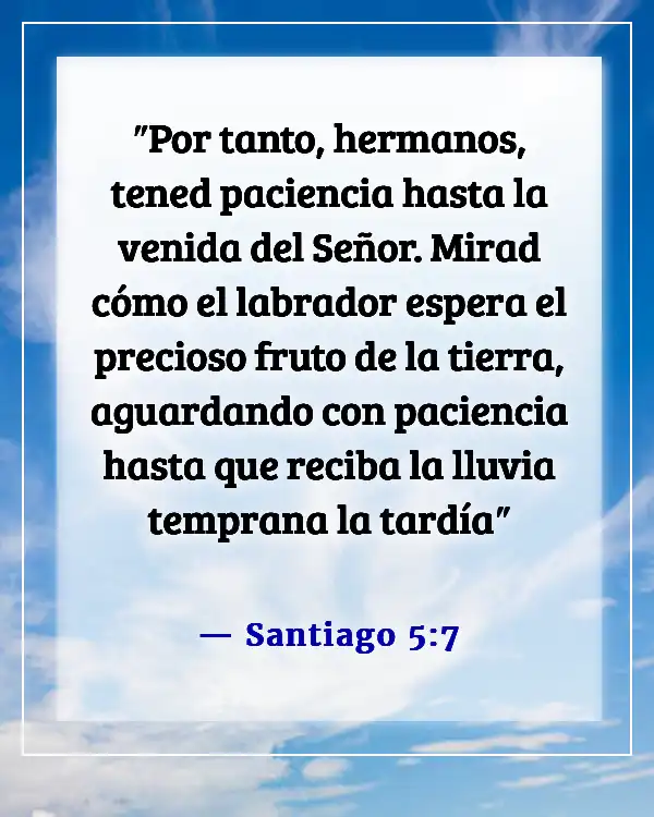 Versículos de la Biblia sobre la paciencia en las relaciones (Santiago 5:7)