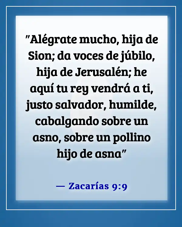 Versículos de la Biblia sobre el gozo al mundo, el Señor ha venido (Zacarías 9:9)