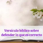 Versículo bíblico sobre defender lo que es correcto