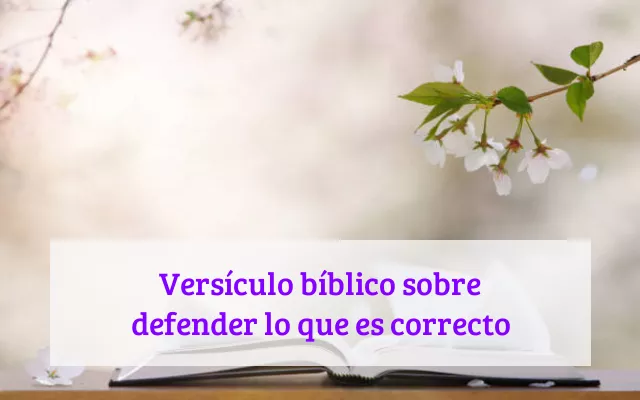 Versículo bíblico sobre defender lo que es correcto