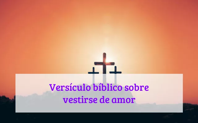 Versículo bíblico sobre vestirse de amor