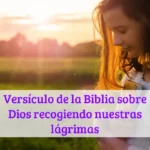 Versículo de la Biblia sobre Dios recogiendo nuestras lágrimas