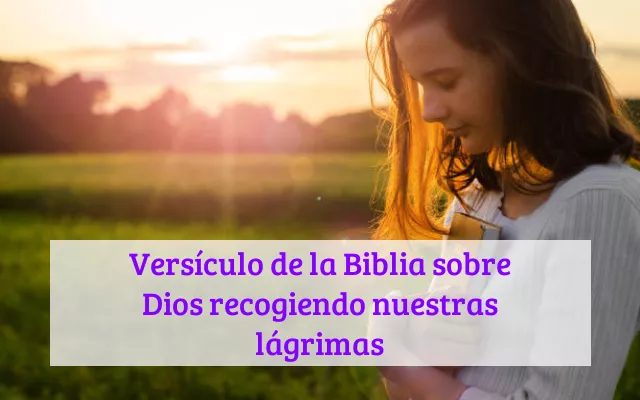 Versículo de la Biblia sobre Dios recogiendo nuestras lágrimas