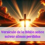 Versículo de la Biblia sobre salvar almas perdidas