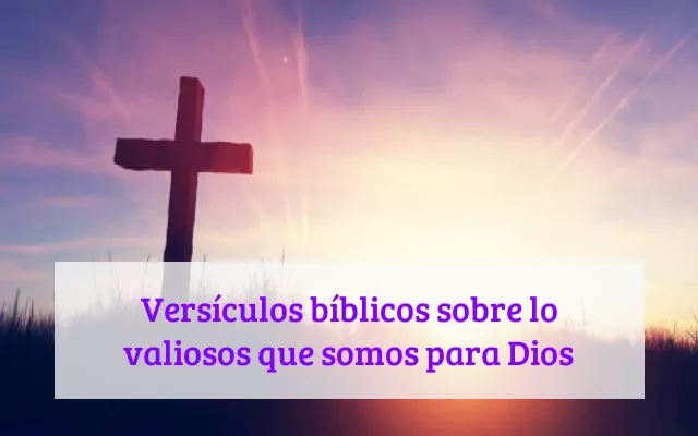 Versículos bíblicos sobre lo valiosos que somos para Dios