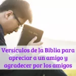 Versículos de la Biblia para apreciar a un amigo y agradecer por los amigos