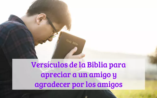 Versículos de la Biblia para apreciar a un amigo y agradecer por los amigos