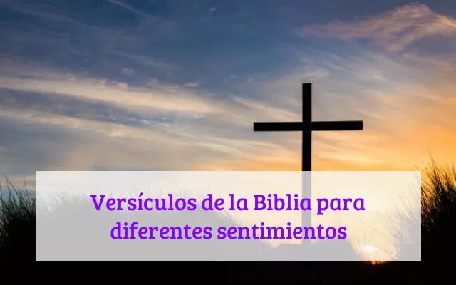 Versículos de la Biblia para diferentes sentimientos