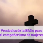 Versículos de la Biblia para el compañerismo de mujeres