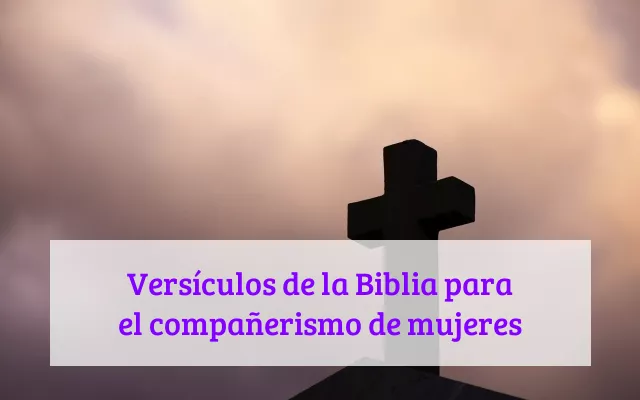 Versículos de la Biblia para el compañerismo de mujeres