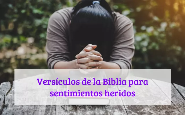 Versículos de la Biblia para sentimientos heridos