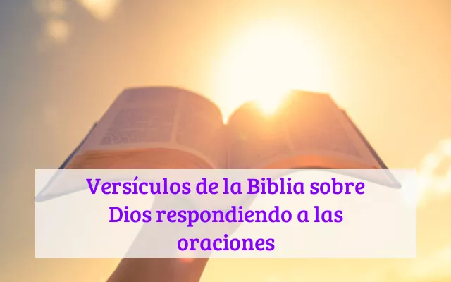 Versículos de la Biblia sobre Dios respondiendo a las oraciones