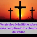 Versículos de la Biblia sobre Jesús cumpliendo la voluntad del Padre