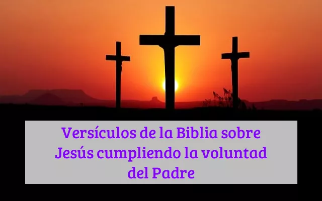 Versículos de la Biblia sobre Jesús cumpliendo la voluntad del Padre