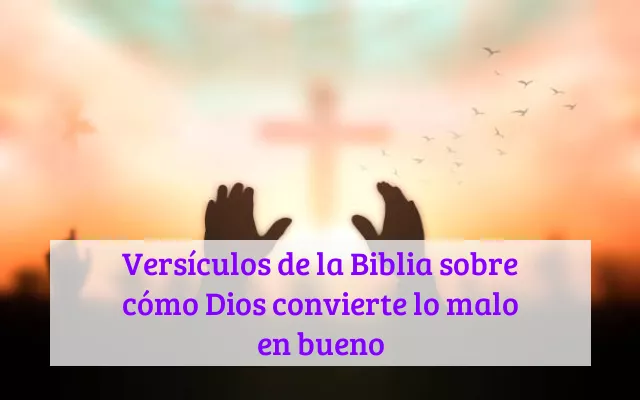 Versículos de la Biblia sobre cómo Dios convierte lo malo en bueno