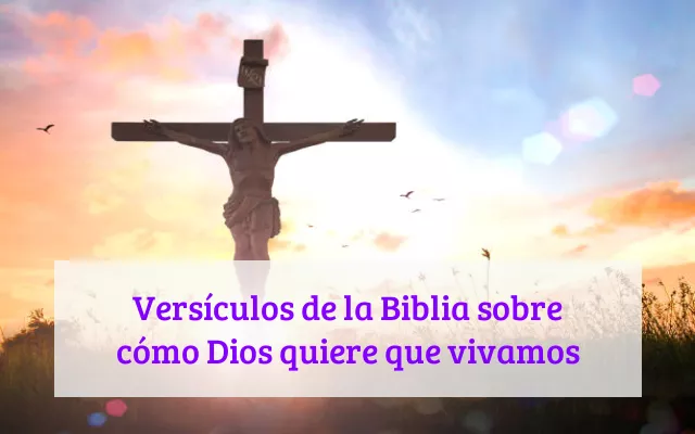 Versículos de la Biblia sobre cómo Dios quiere que vivamos