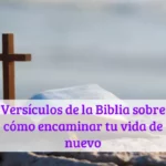 Versículos de la Biblia sobre cómo encaminar tu vida de nuevo