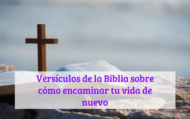 Versículos de la Biblia sobre cómo encaminar tu vida de nuevo