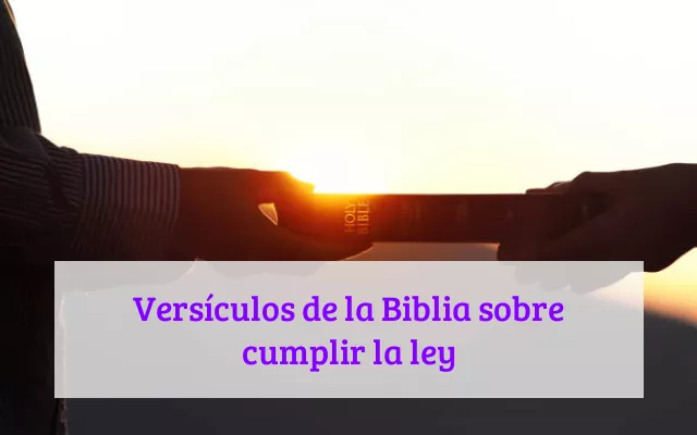 Versículos de la Biblia sobre cumplir la ley