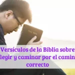 Versículos de la Biblia sobre elegir y caminar por el camino correcto