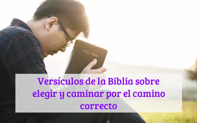 Versículos de la Biblia sobre elegir y caminar por el camino correcto