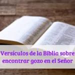 Versículos de la Biblia sobre encontrar gozo en el Señor