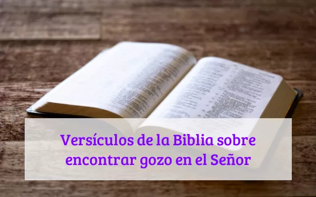 Versículos de la Biblia sobre encontrar gozo en el Señor