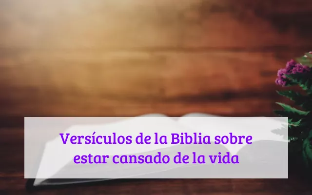 Versículos de la Biblia sobre estar cansado de la vida